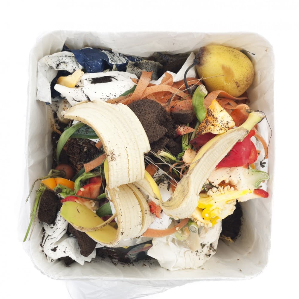 Garbage in white trash can