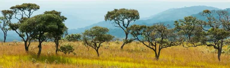 Water in the Landscape cluster group: Meeting summary, 6 Octobre 2017