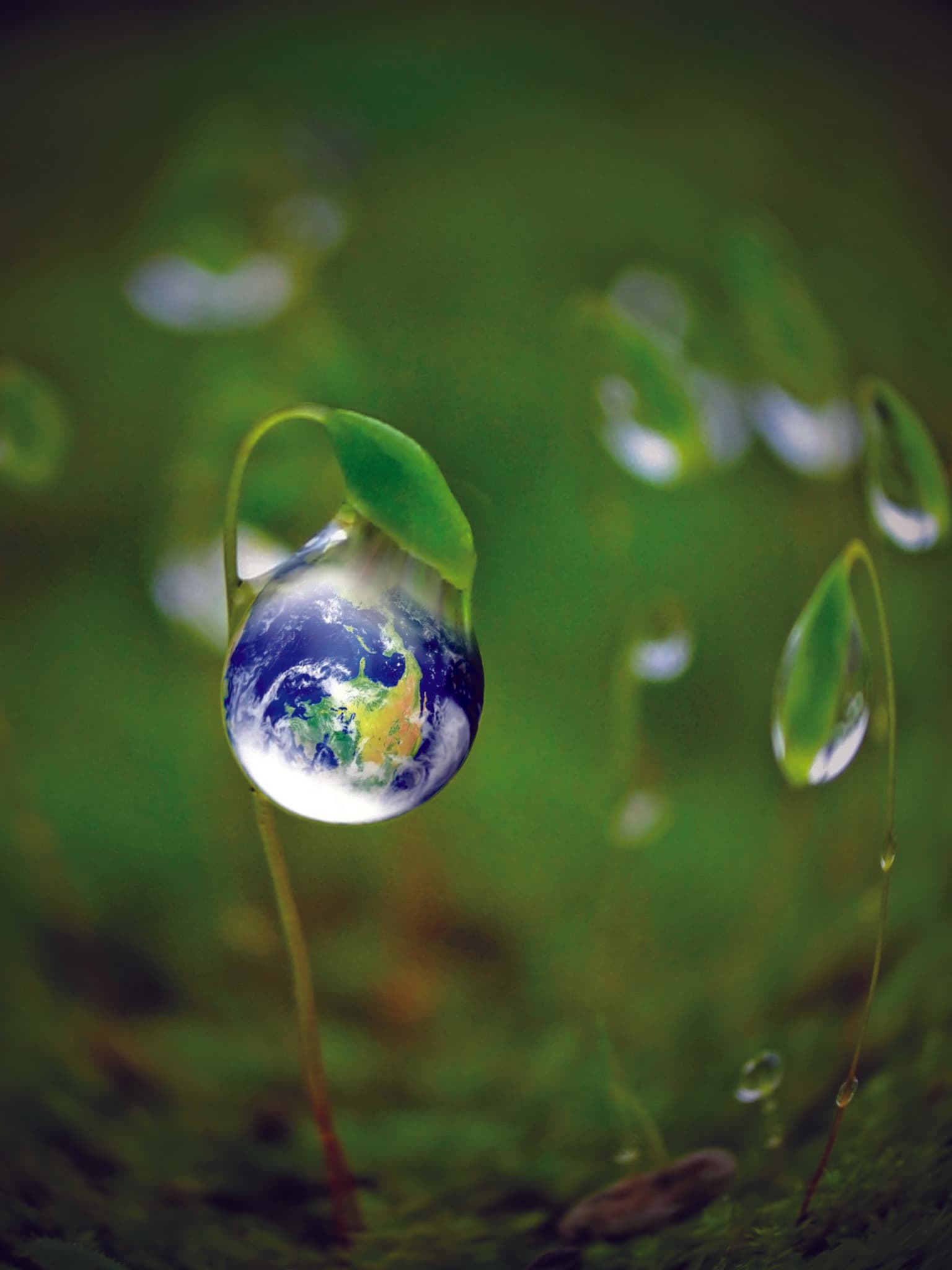 Green energy concept, Fresh Earth in a water drop