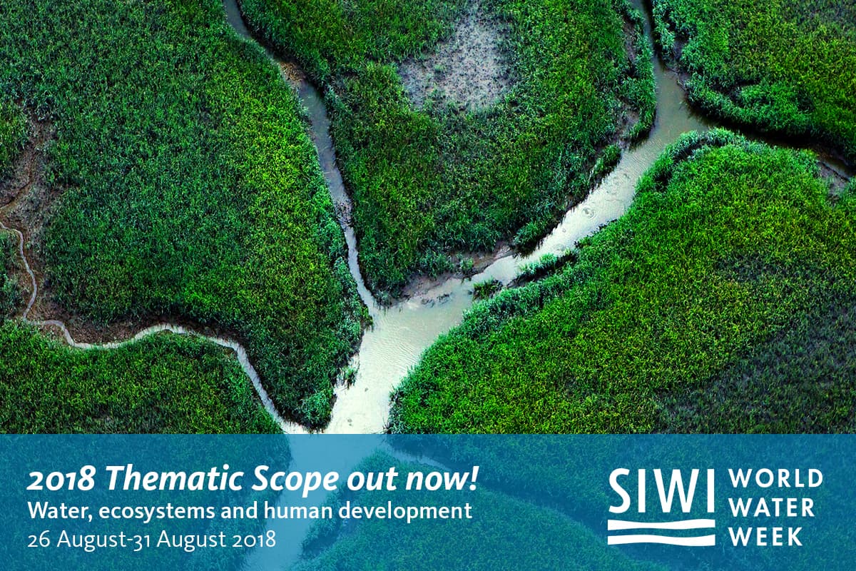 thematic scope release