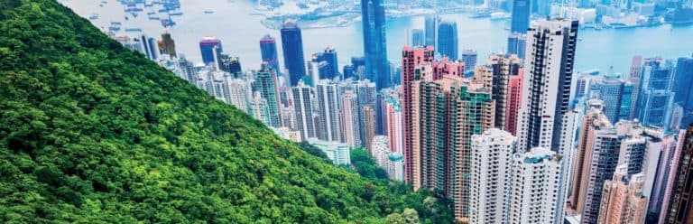 Championing the forest-water nexus