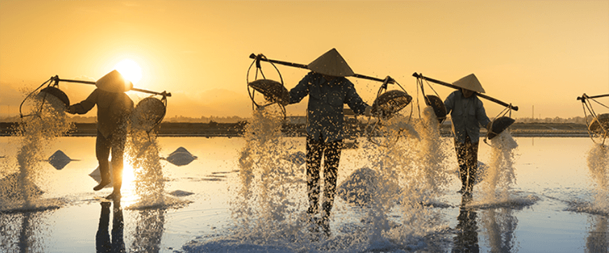 Mooc_news item