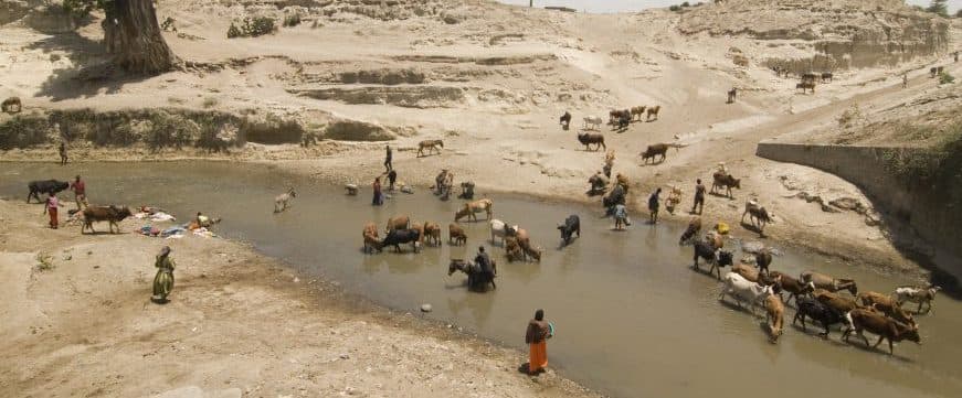 African life at the river