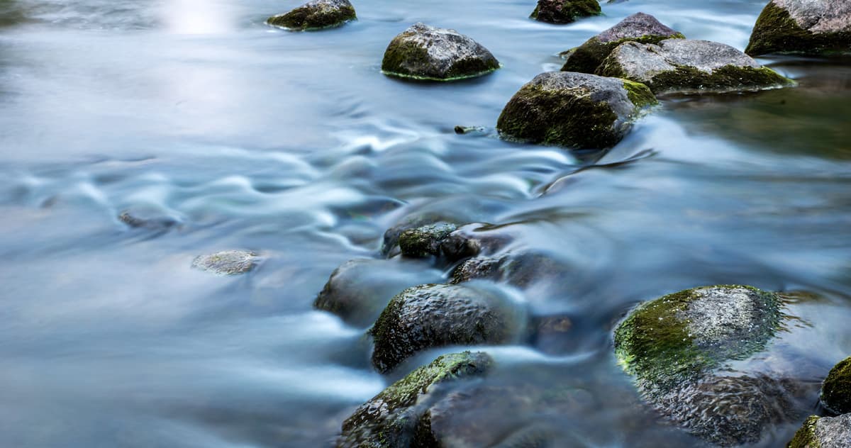 shutterstock_252608923