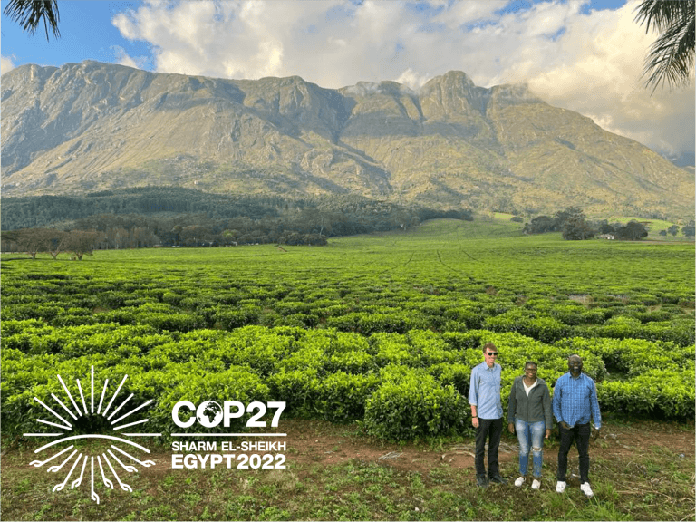 SIWI’s Anton, Xanani and Kasonde in front of Mount Mulanje, Malawi