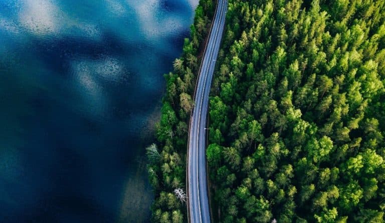 Bird's eyeview of a road in the middle of a forest, and body of water on the left side.