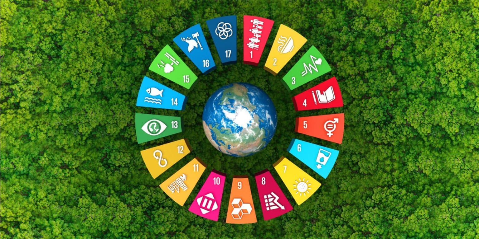 Wheel of all SDG, surrounding planet Earth, on top of a green canopy