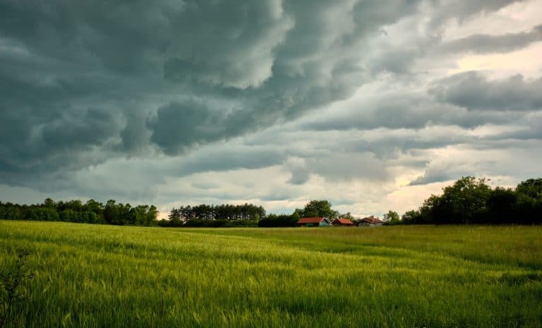 storm-swh-blog