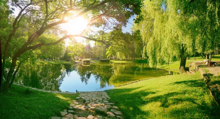 Beautiful,Colorful,Summer,Spring,Natural,Landscape,With,A,Lake,In