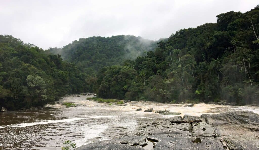 River flowing through lush Brazilian rainforest, with mist rising from the water.