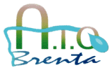 Logo P11 CBB