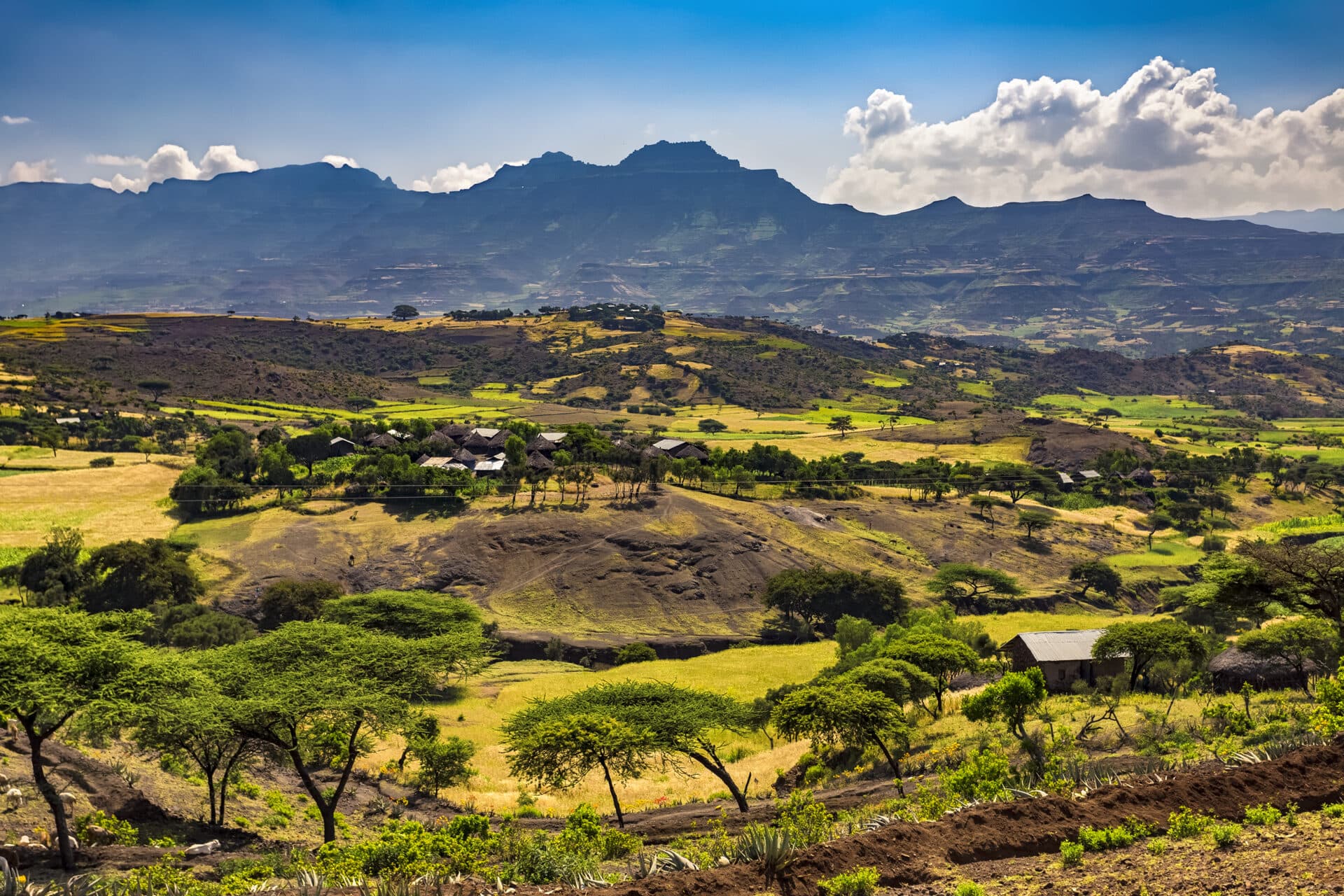Ethiopia. Lalibela countryside, Lasta Mountains in the background