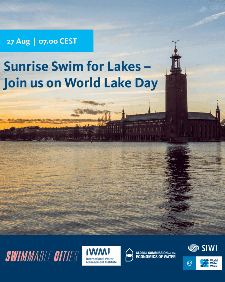 World Lake Day