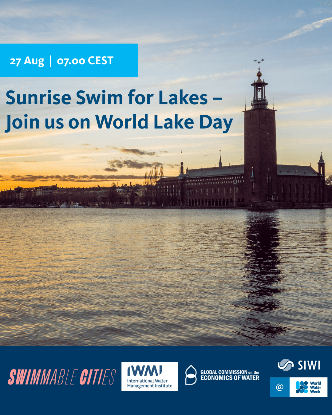 World Lake Day