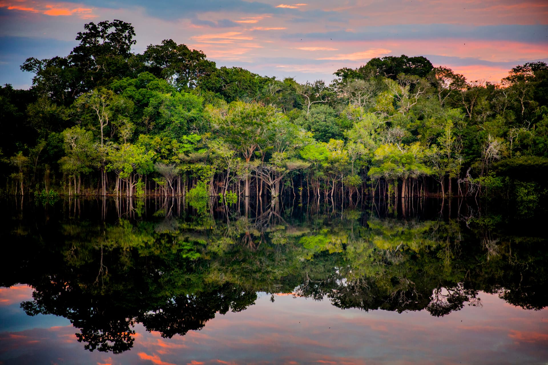 Amazon – Black River
