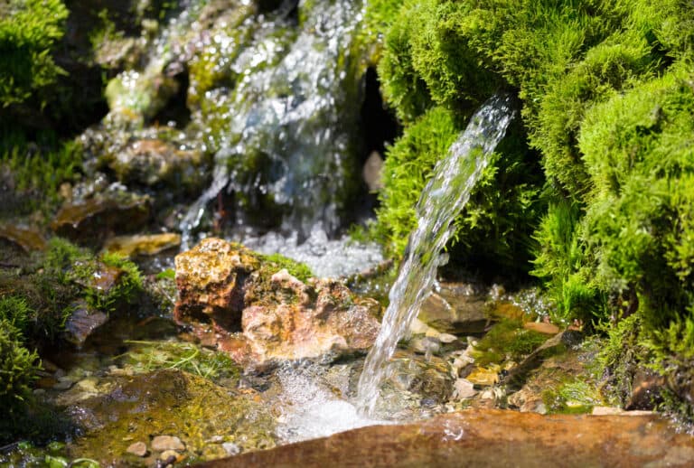 Source,Of,Spring,Water