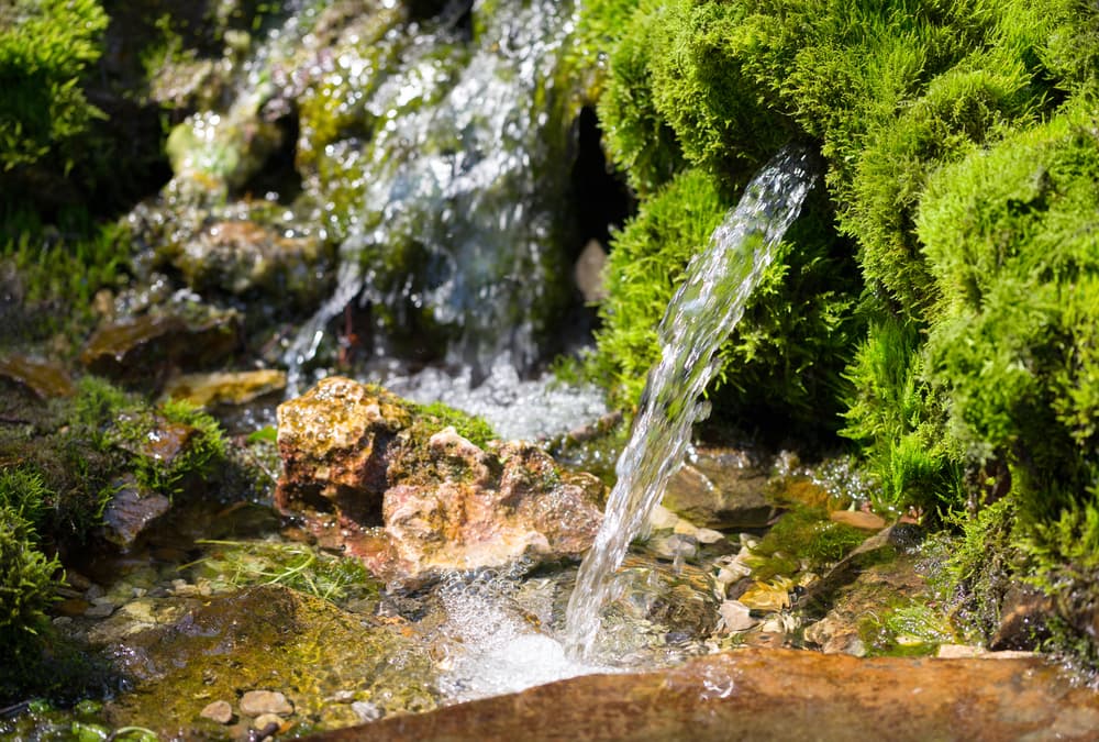Source,Of,Spring,Water