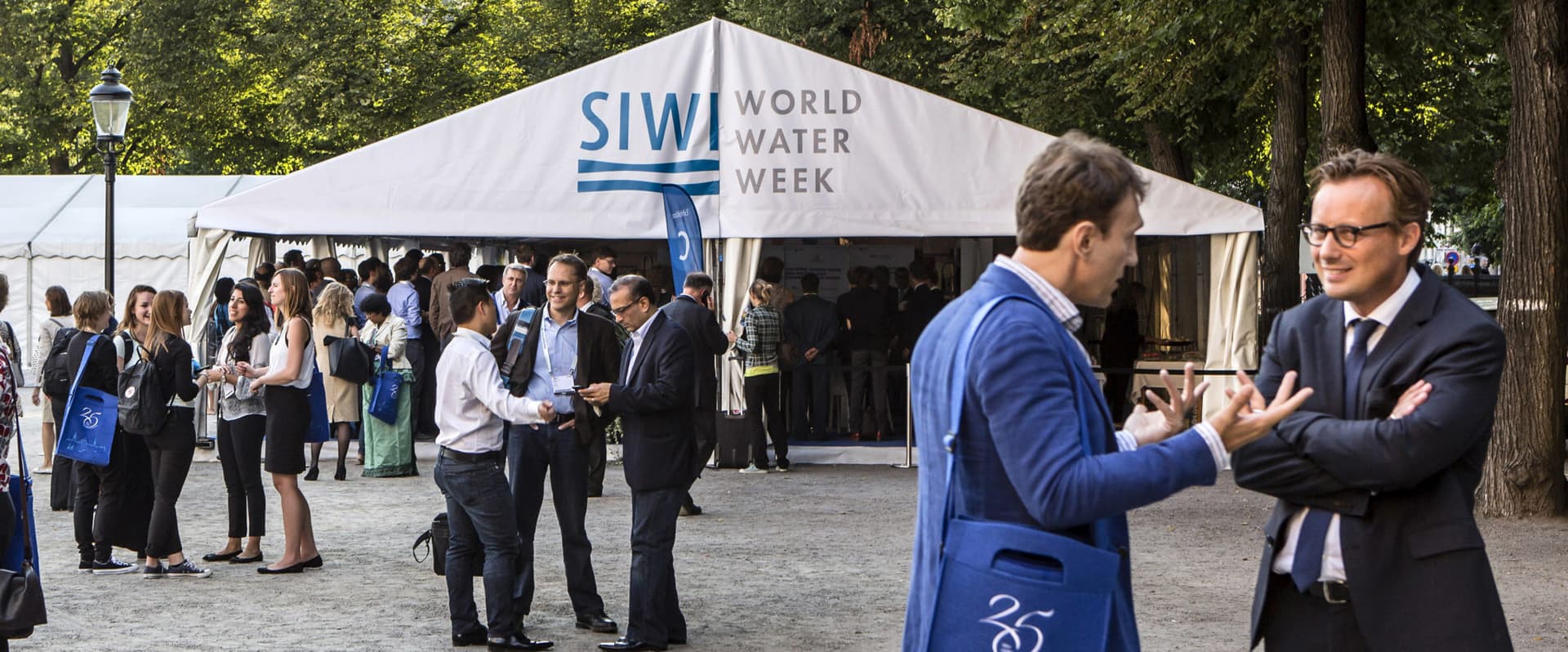 News – WWW most valuable platform say CEOs