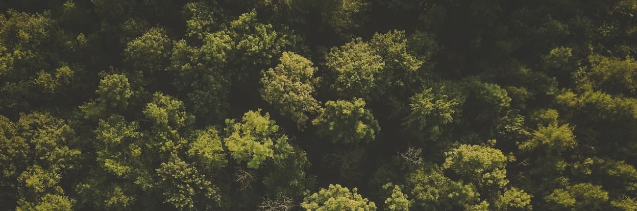 aerial-shot-of-swedish-forest-picture-id835069872