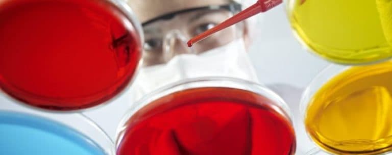 Scientist Working With Petri Dishes