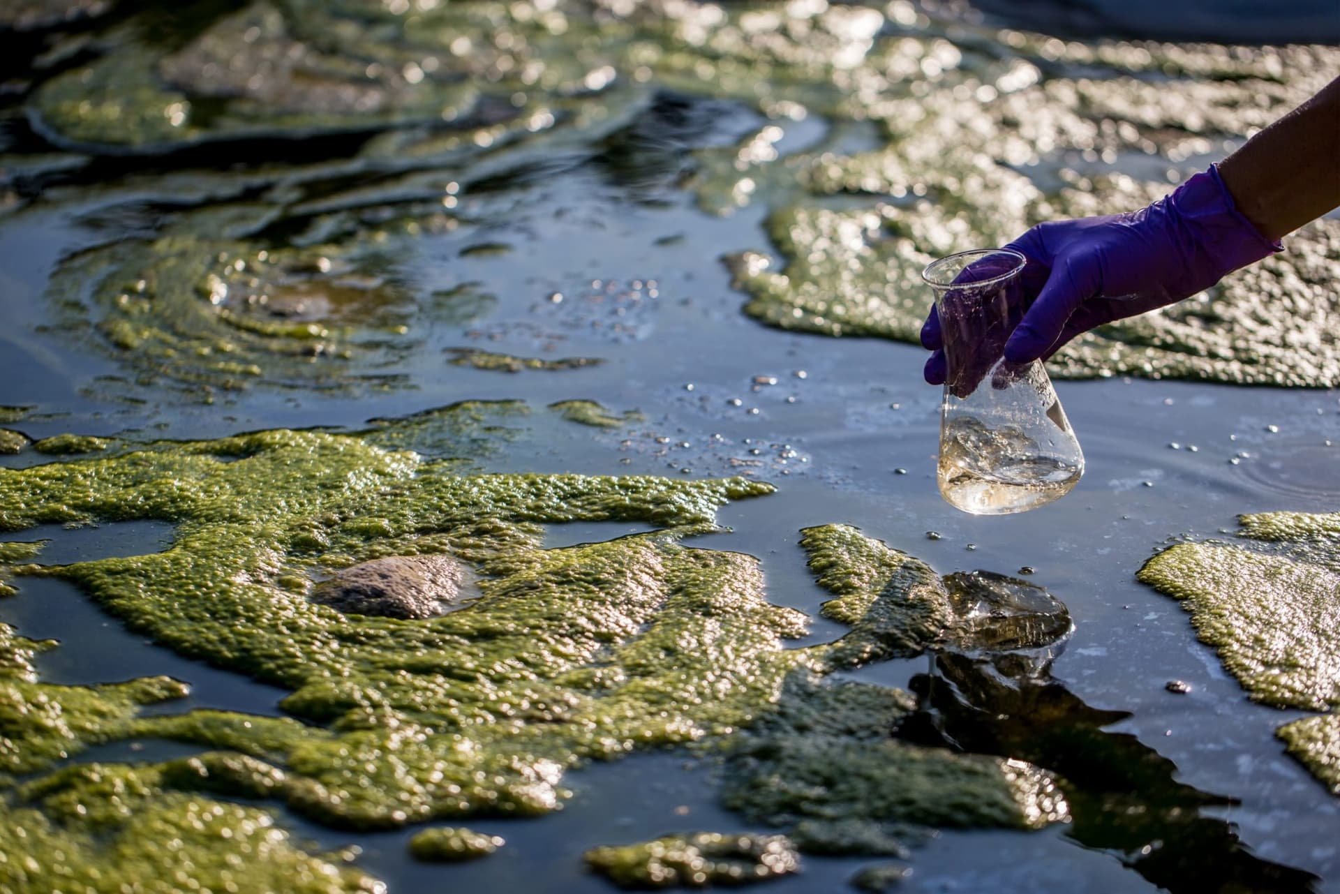 SIWI condemns escalating violence against water activists