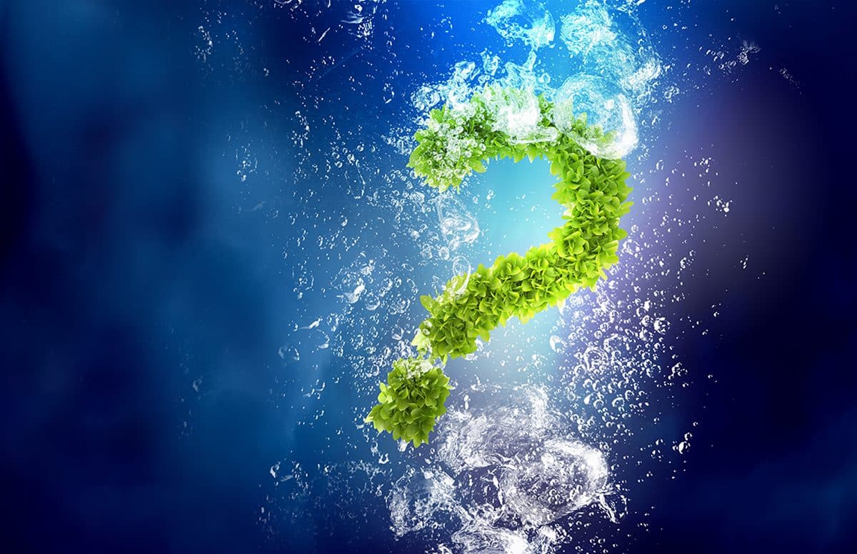 Question mark made of green leaves, floating in dark blue water with bubbles all around