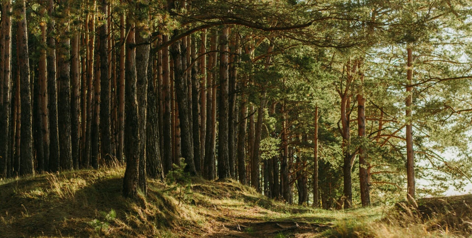 Irina Iriser on Unsplash