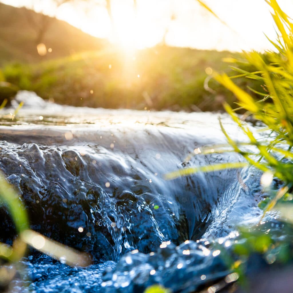 Spring background Stream of water in the forest