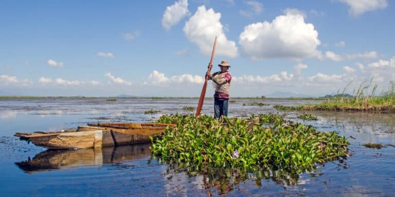 Fisherman in Loktak Lake, Manipur, India.
