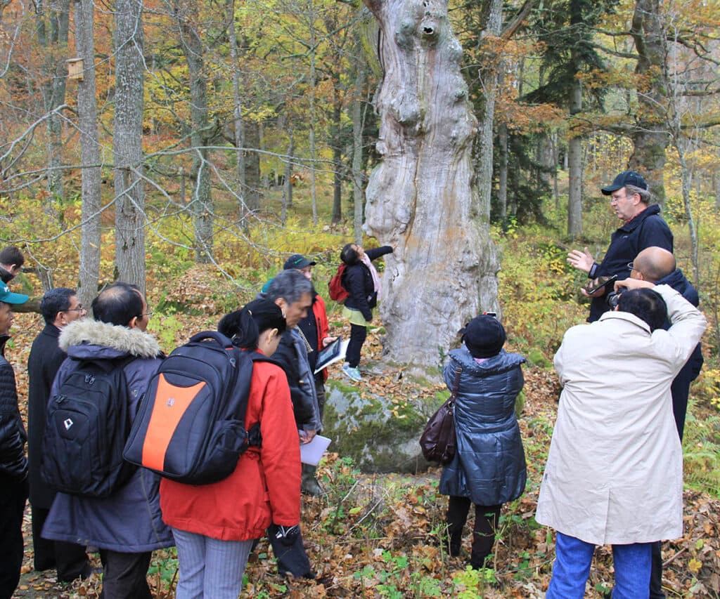 About Swedish Water House_Connecting Sweden to global water governance