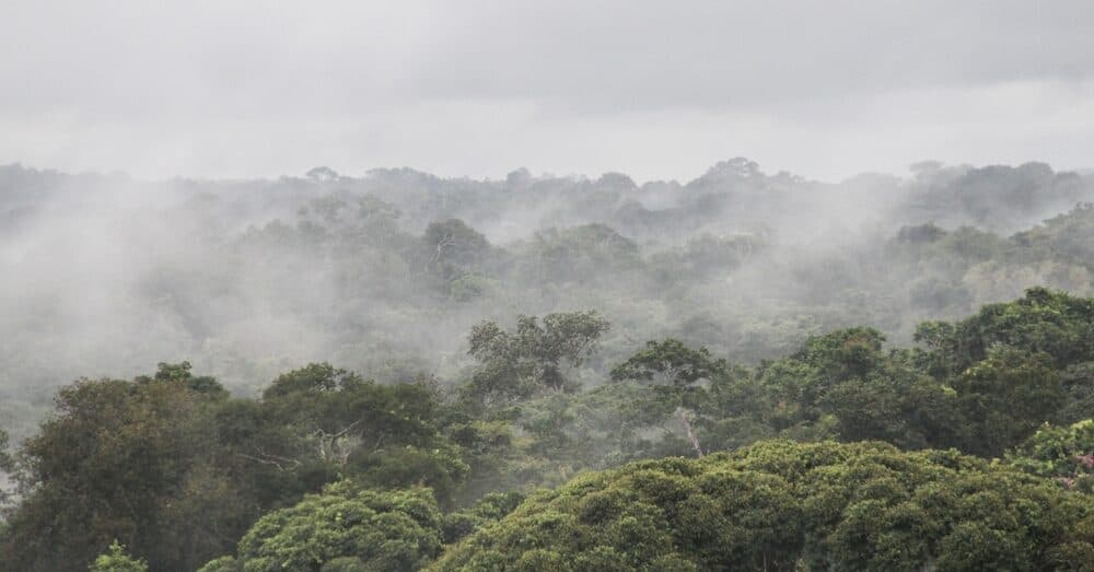 Aerial,Image,Of,Flying,Rivers,In,The,Amazon,Rainforest