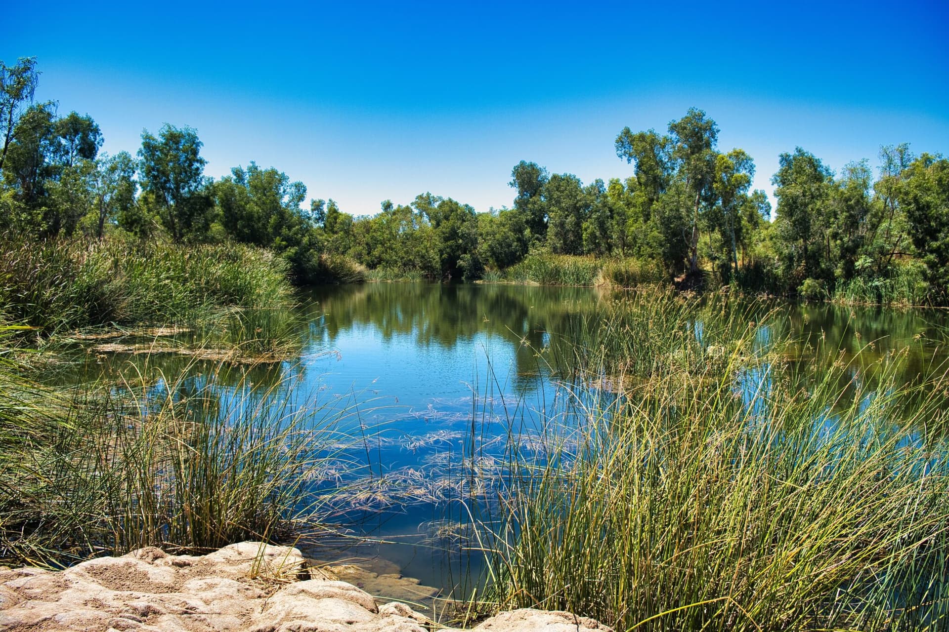 The,Miaree,Pool,In,The,Maitland,River,Near,Karratha,,One
