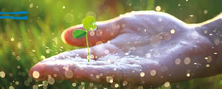 SIWI-WWW-2016-banner