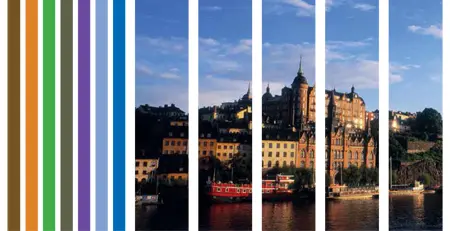 2013 Annual Report-web-widget