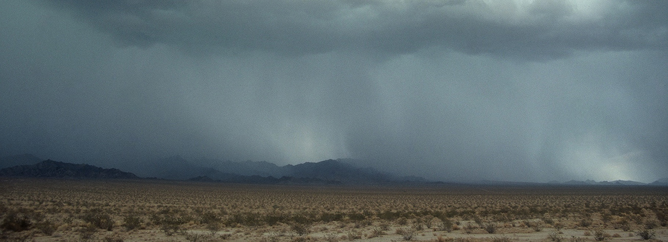 rain-desert
