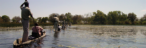 okavango-WW015
