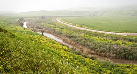 SIWI-Advances-Cooperation-in-the-Lower-Jordan-River-Valley-455x248