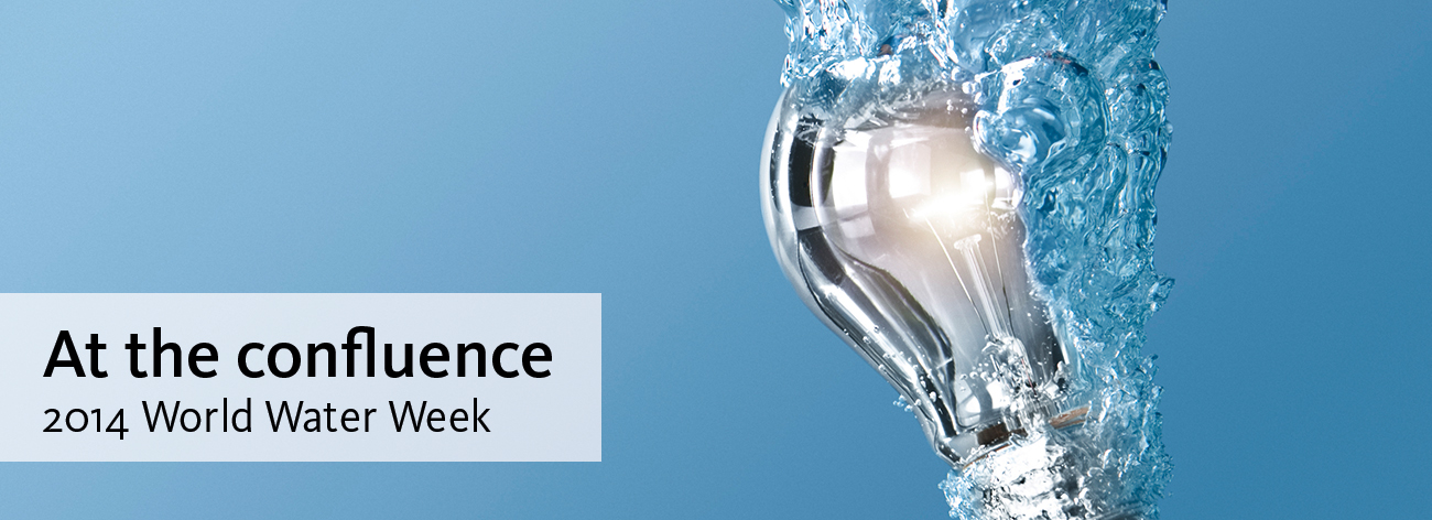at-the-confluence-2014-world-water-week-elsevier-banner