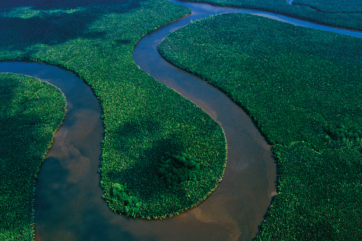 meandering river in East Kalimantan