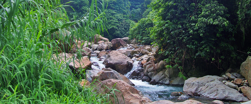 Beautiful forest river from sumatra