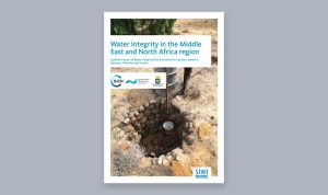 Water Integrity in the Middle East and North Africa region