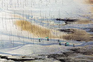 iStock-697497014_resized thumbnail