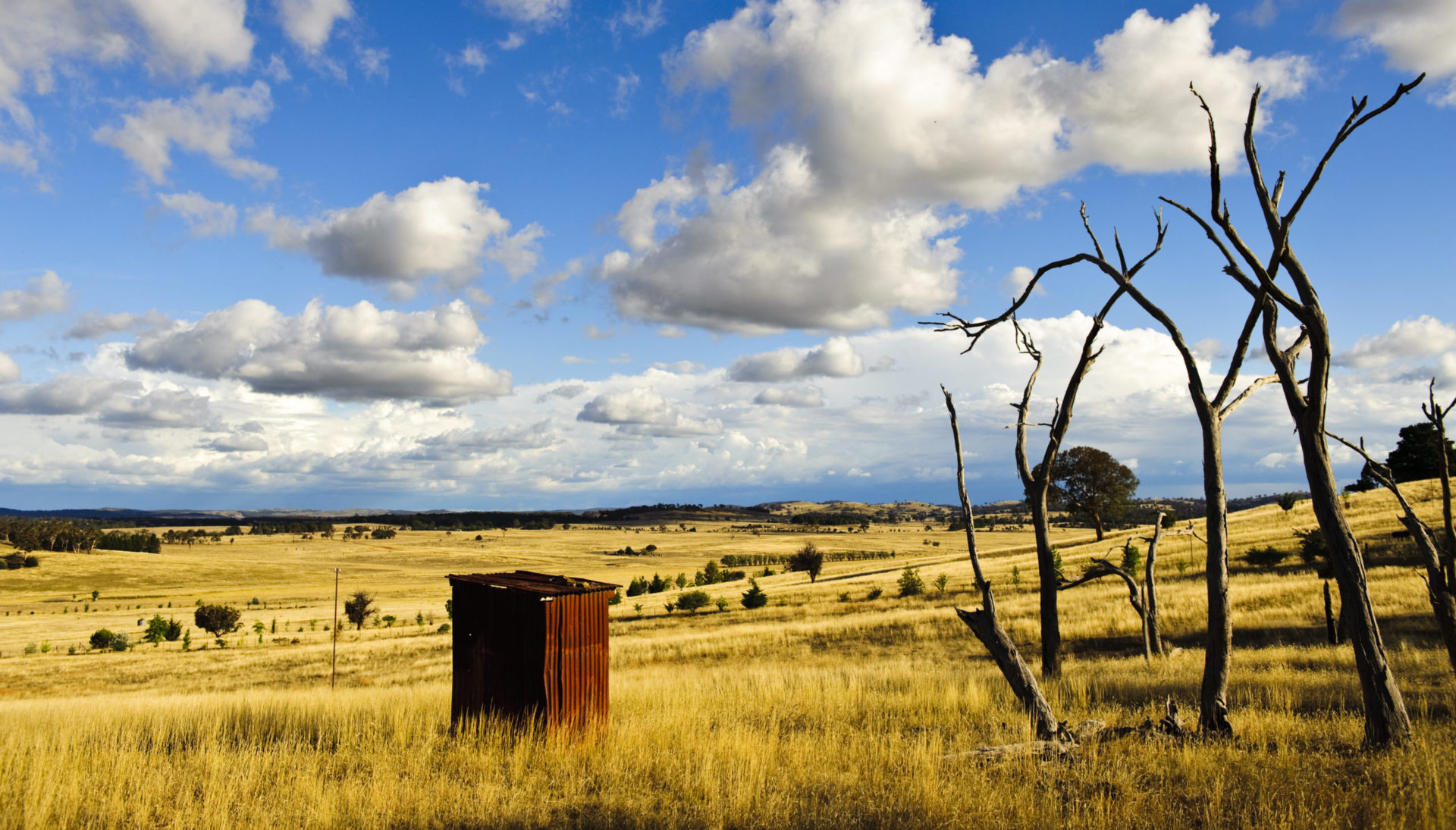 Australia Rusty corrugated iron shed farm outhouse