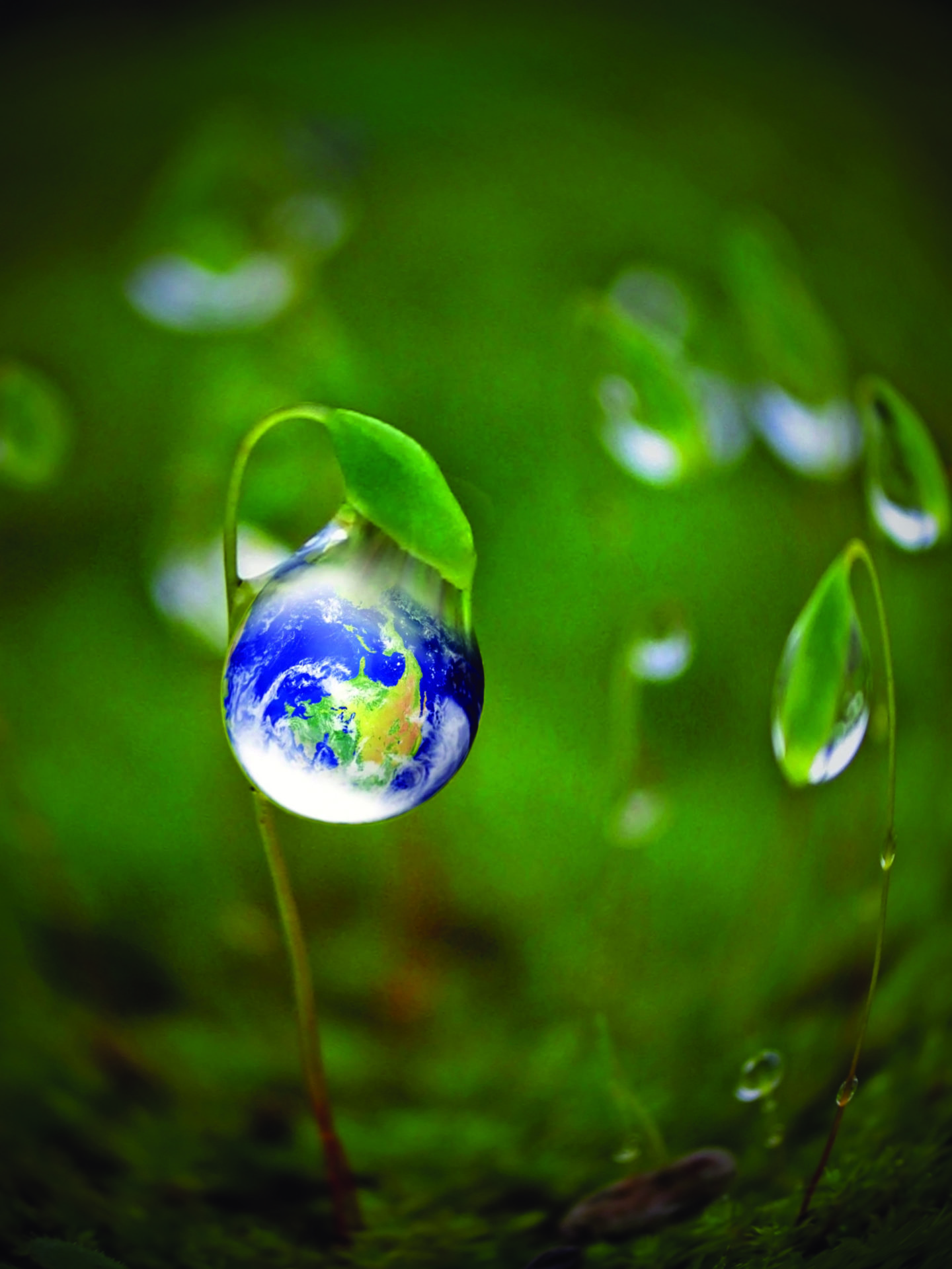 Green energy concept, Fresh Earth in a water drop