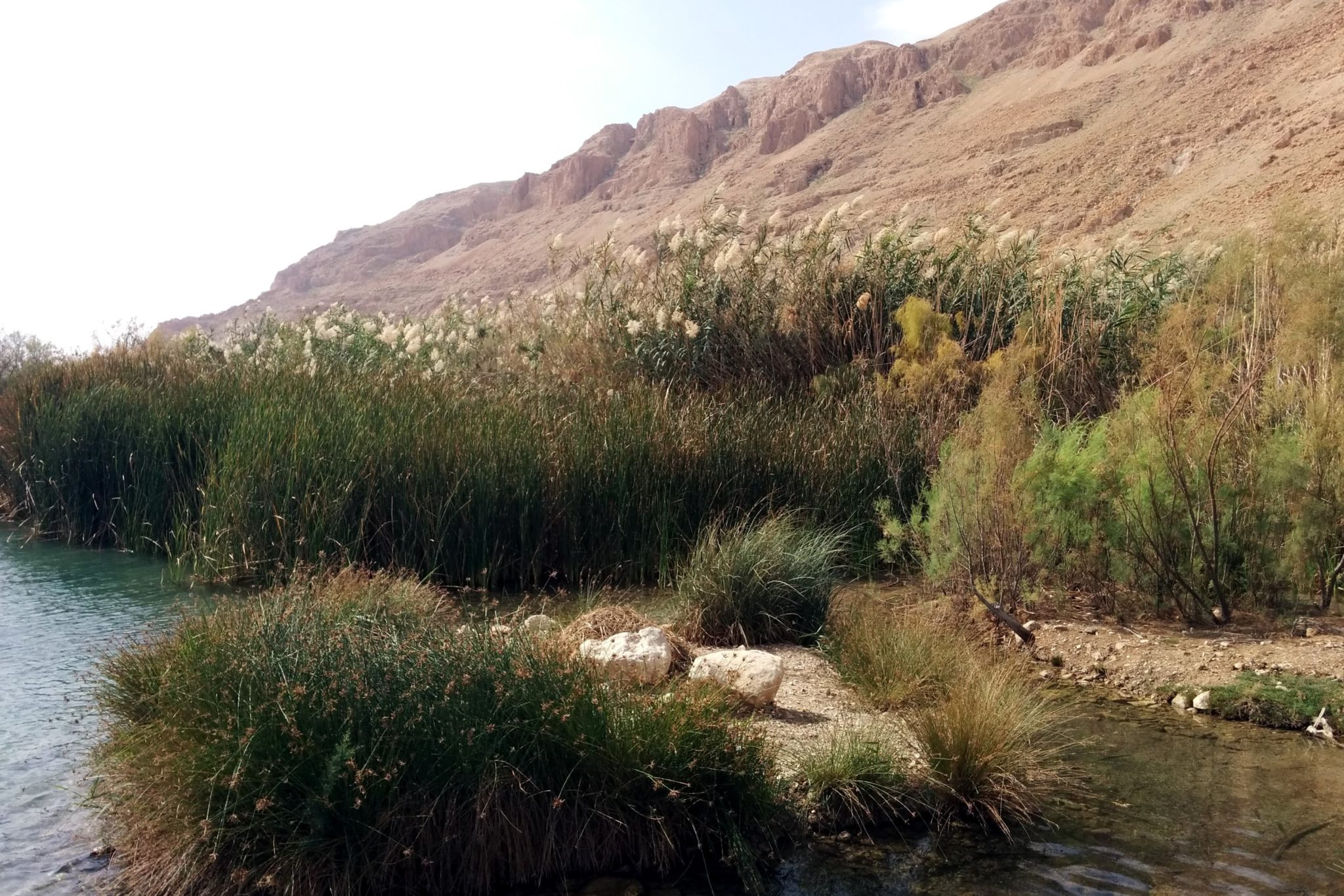 Transboundary Water Cooperation over the lower part of the Jordan River ...