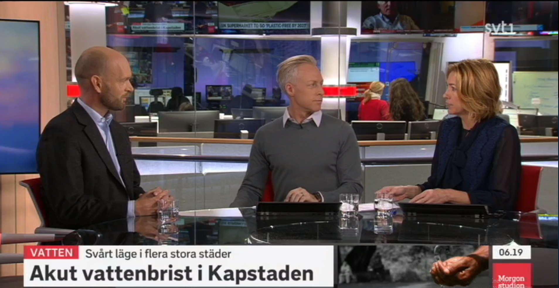 siwi on svt morgonstudion swedish tv media