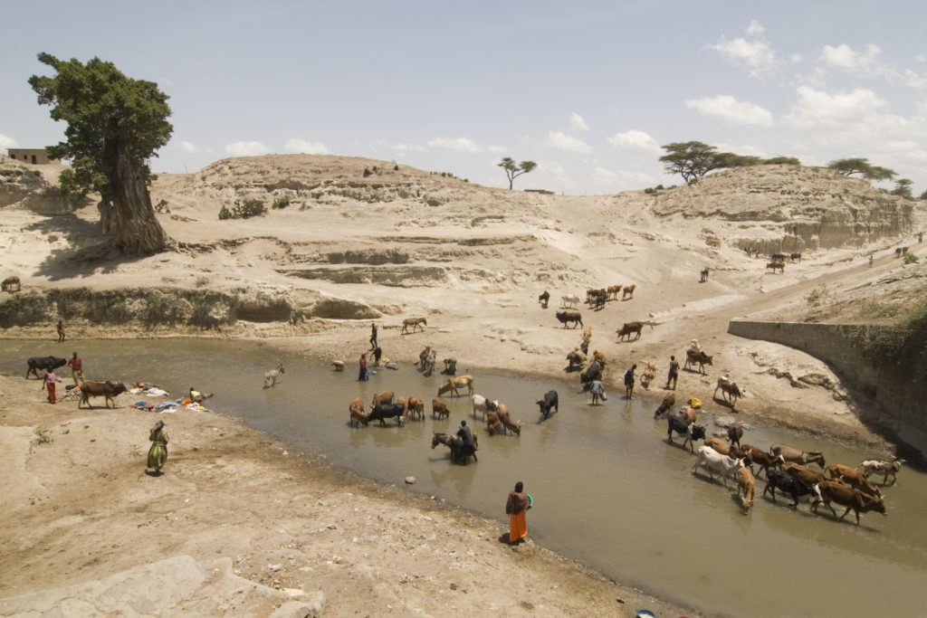 African life at the river