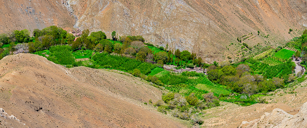 Oasis in Morocco