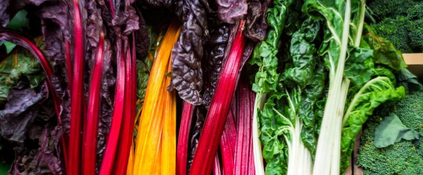 Colorful Chard in a row at Food Market