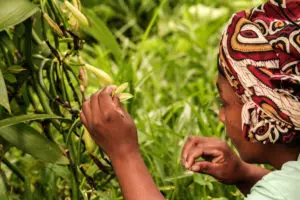 Nature based solutions